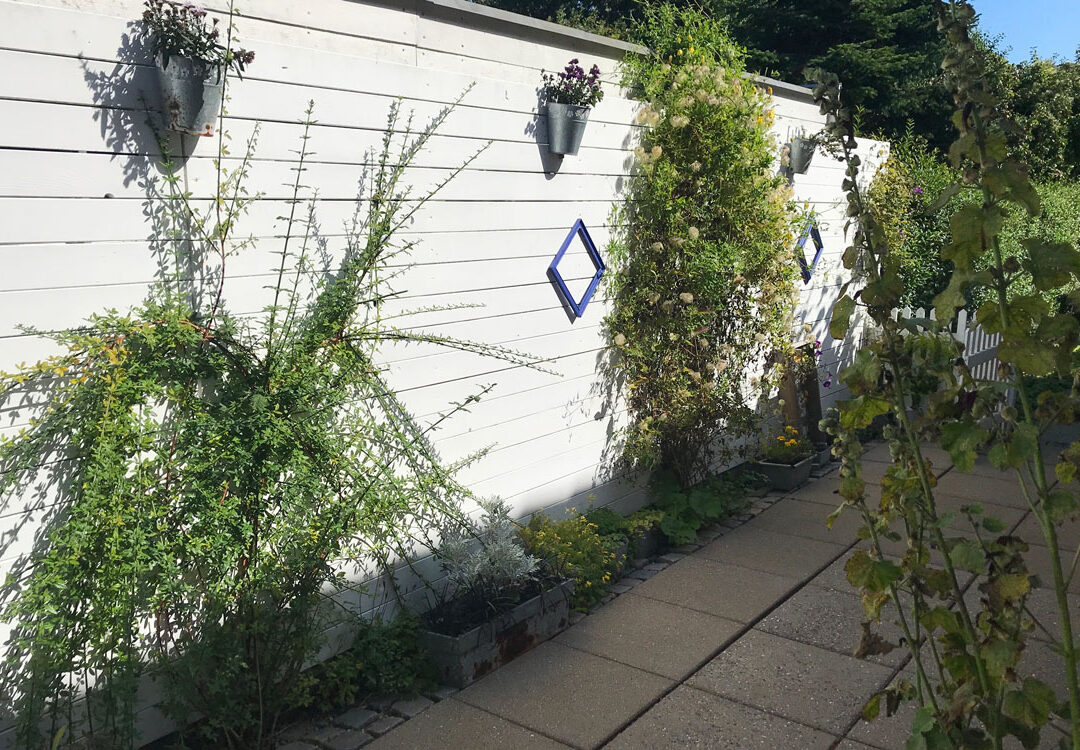 Ynglingshaven i Haslev